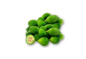 Spine Gourd - कंकौड़ा - કંકોડા